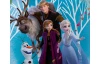 Dětský polštářek Disney Frozen, 40x40 cm