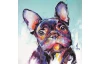 Obraz na plátně Francouzský buldoček, 35x35 cm, efekt ruční malby