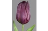 Umělá květina Tulipán 20 cm, fialová