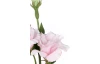 Umělá květina Eustoma 80 cm, růžová