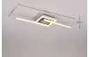 Stropní/nástěnné osvětlení LED Viale, matný nikl