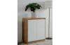Skříňka Dallas, 79 cm, dub artisan/leskle bílá