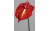 Umělá květina Anthurium 65 cm, červená