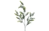 Umělá rostlina Eukalyptus 73 cm, zelená