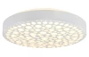 Stropní LED osvětlení Chizu 40 cm, RGB