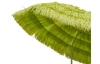 Zahradní slunečník Hawaii 180 cm, limetový