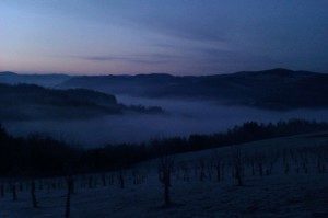 IMAG0175
