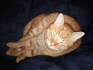 IMG 20110101 193258