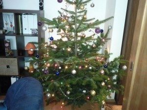 IMG 20110102 121359