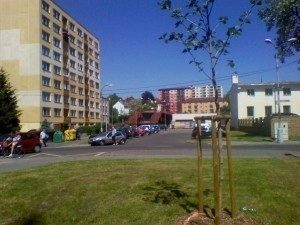 IMG 20110526 112208