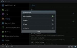 capture 22