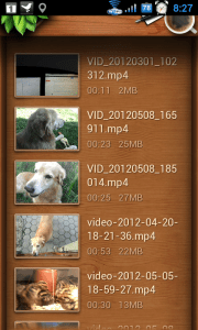QQPlayer
