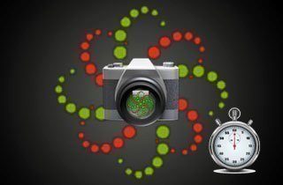 camspeed ico