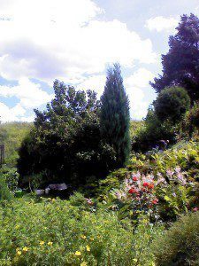 IMG 20120712 114736