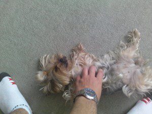 IMG 20120801 112801