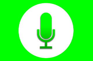 easy voice ikona