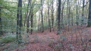 PIC000063