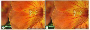 galaxy note 2 vs galaxy s3 display 3
