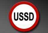 ussd ico