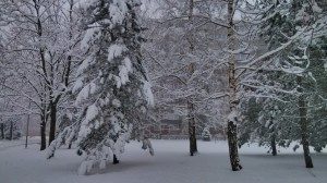 krajina HDR