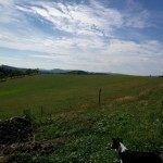 oppo find 5 foto13