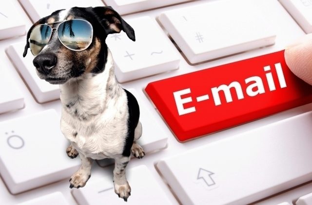 email czh 00000