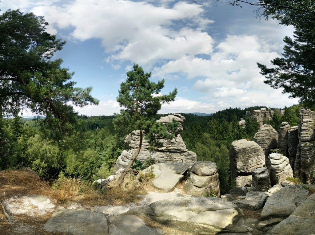 oneplus one ukazkova fotografie 10