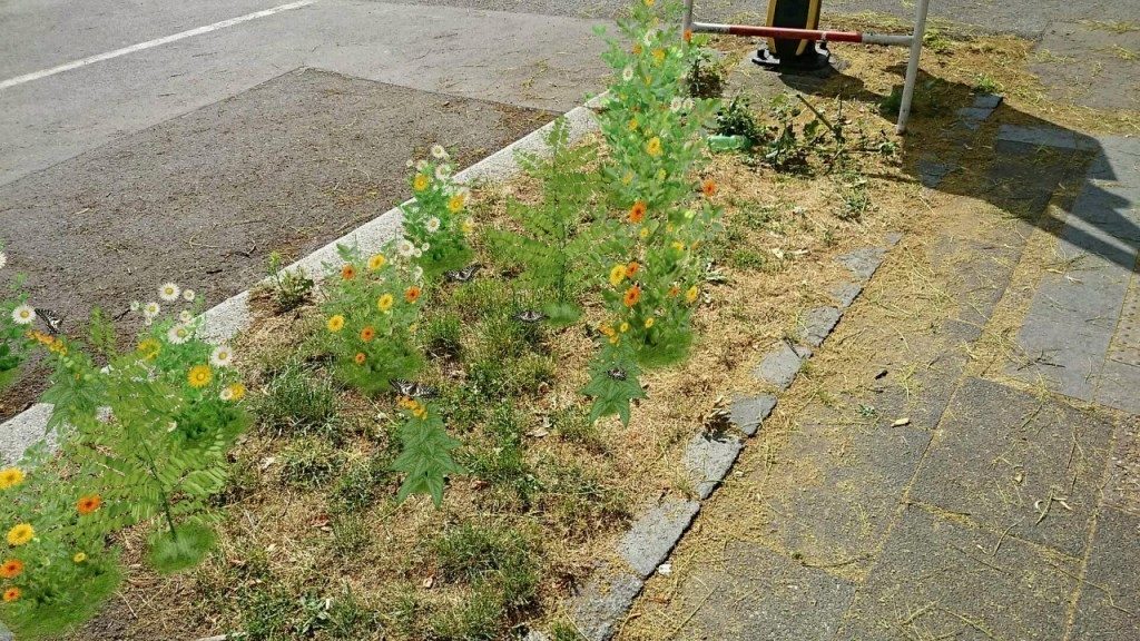 sony xperia z2 ukazka fotografii28
