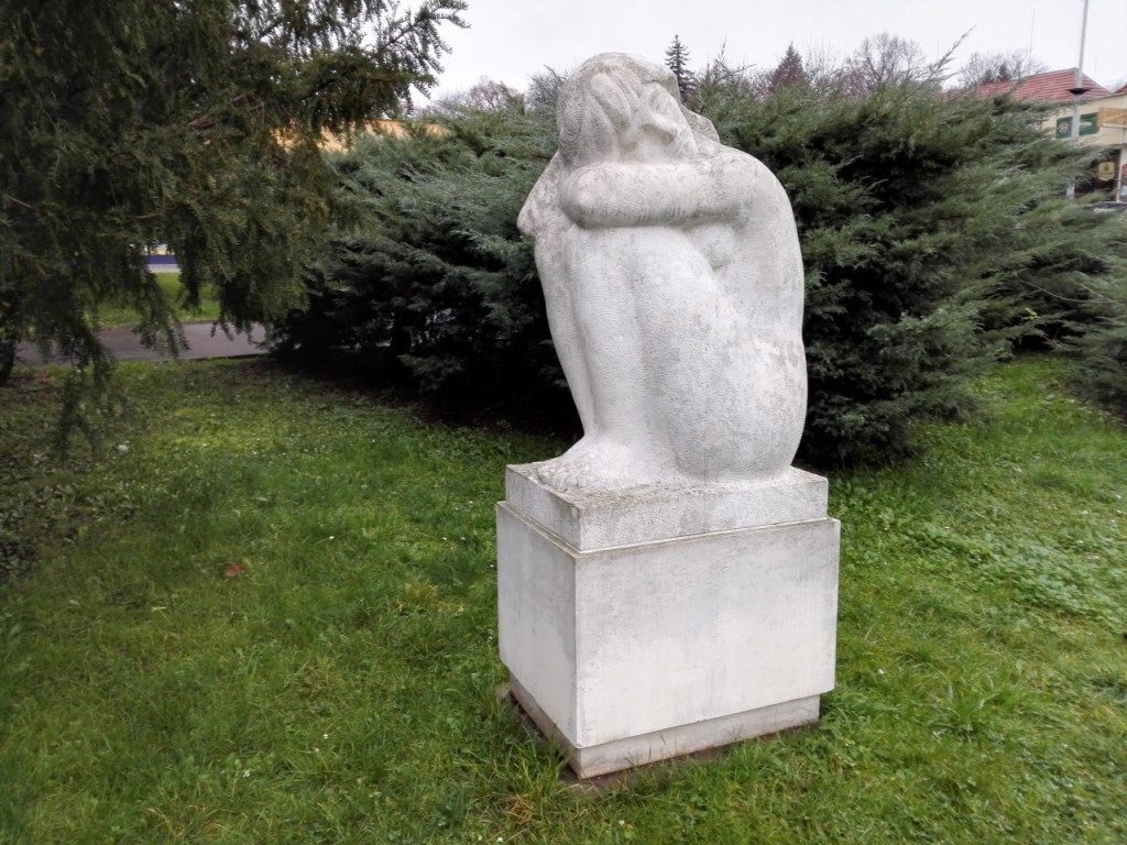 honor 6 porizene fotografie 10