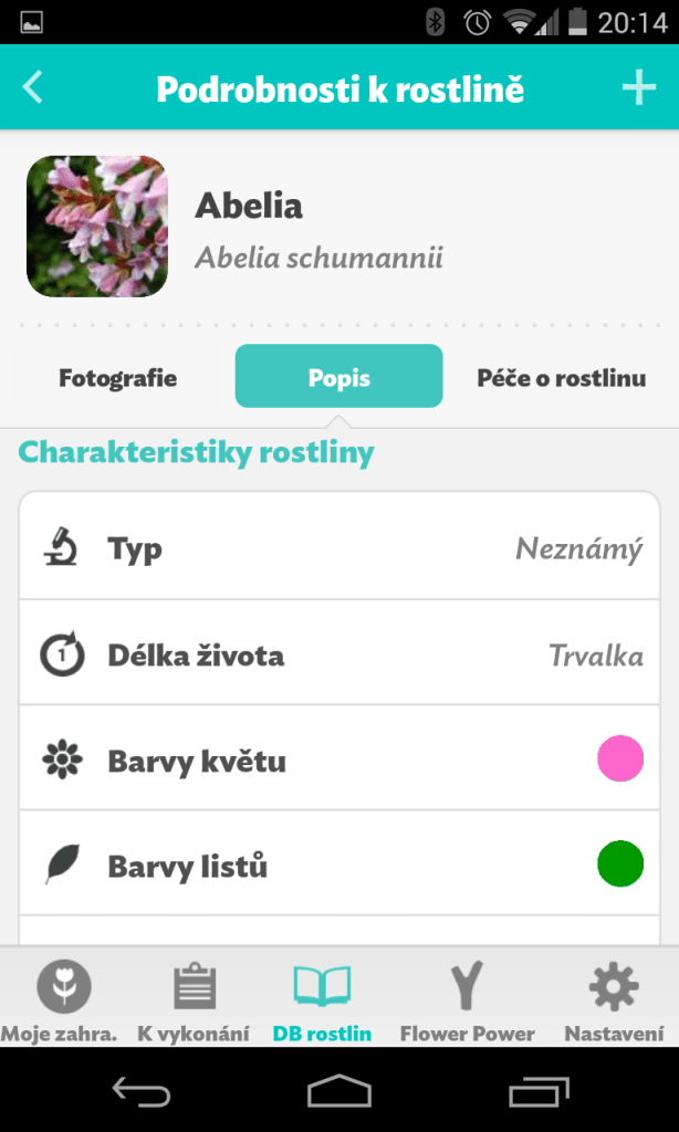Flower Power popis kytky 2