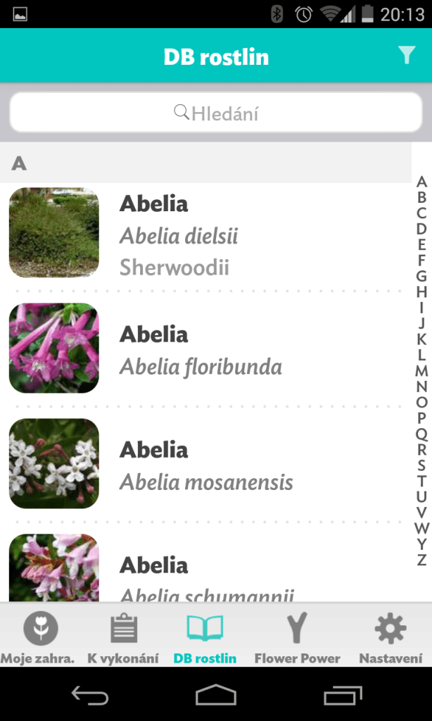 flower power databaze rostlin