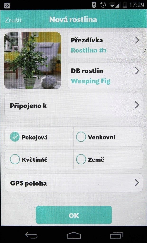 flower power nova rostlina