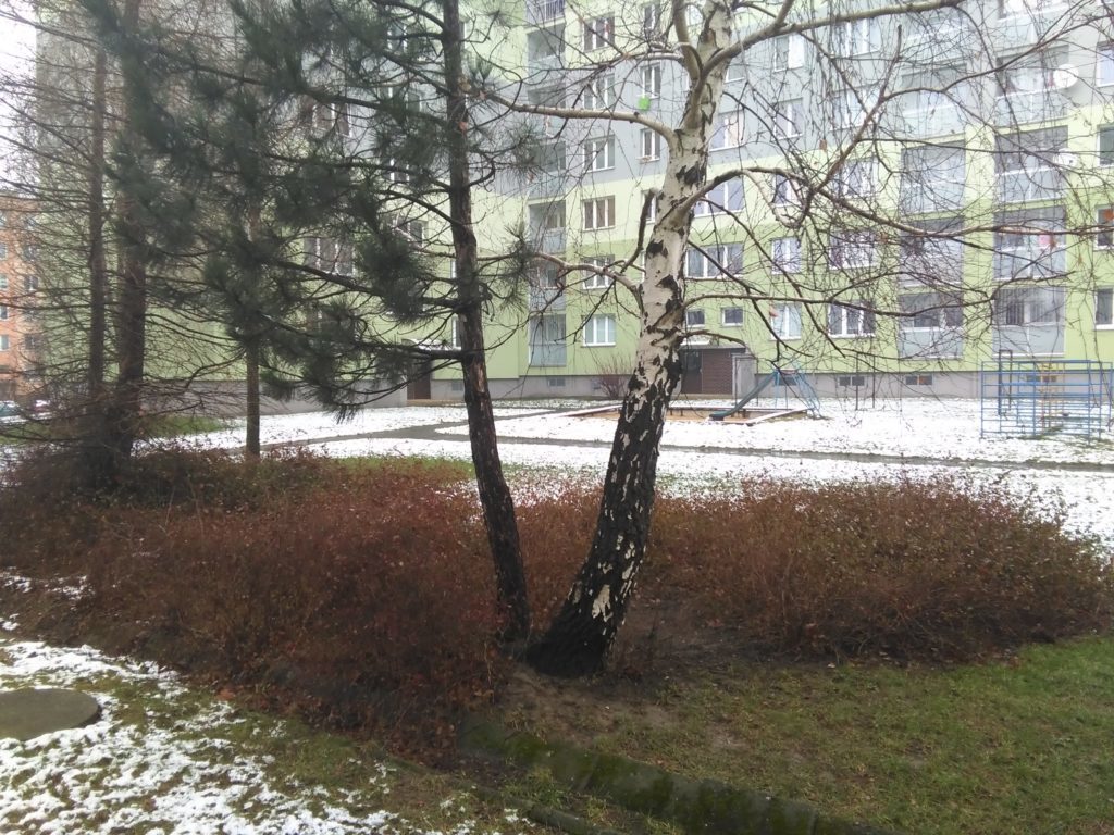 Huawei G630 pořízené fotografie 1