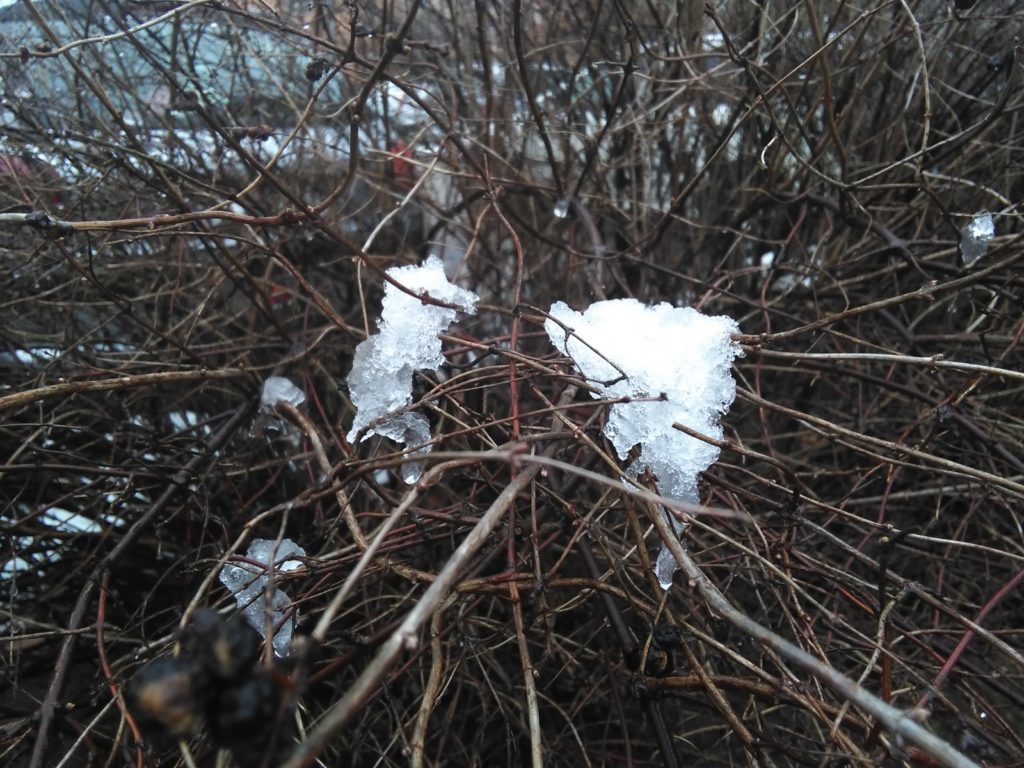 Huawei G630 pořízené fotografie 9
