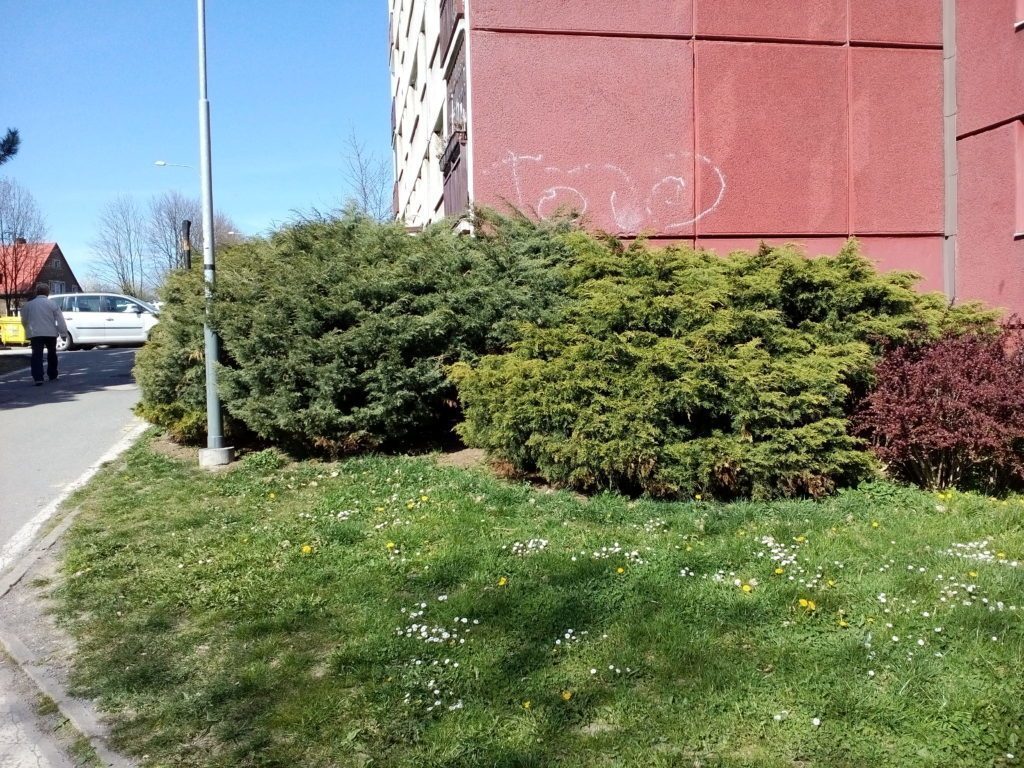 Lenovo A5000 pořízené fotografie 12