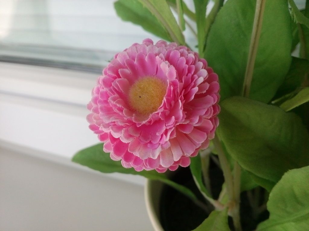 Lenovo A5000 pořízené fotografie 17
