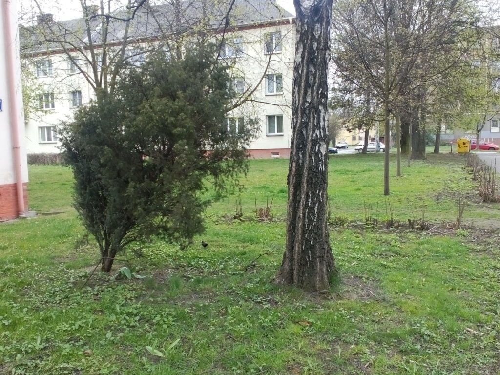 Lenovo A5000 pořízené fotografie 6