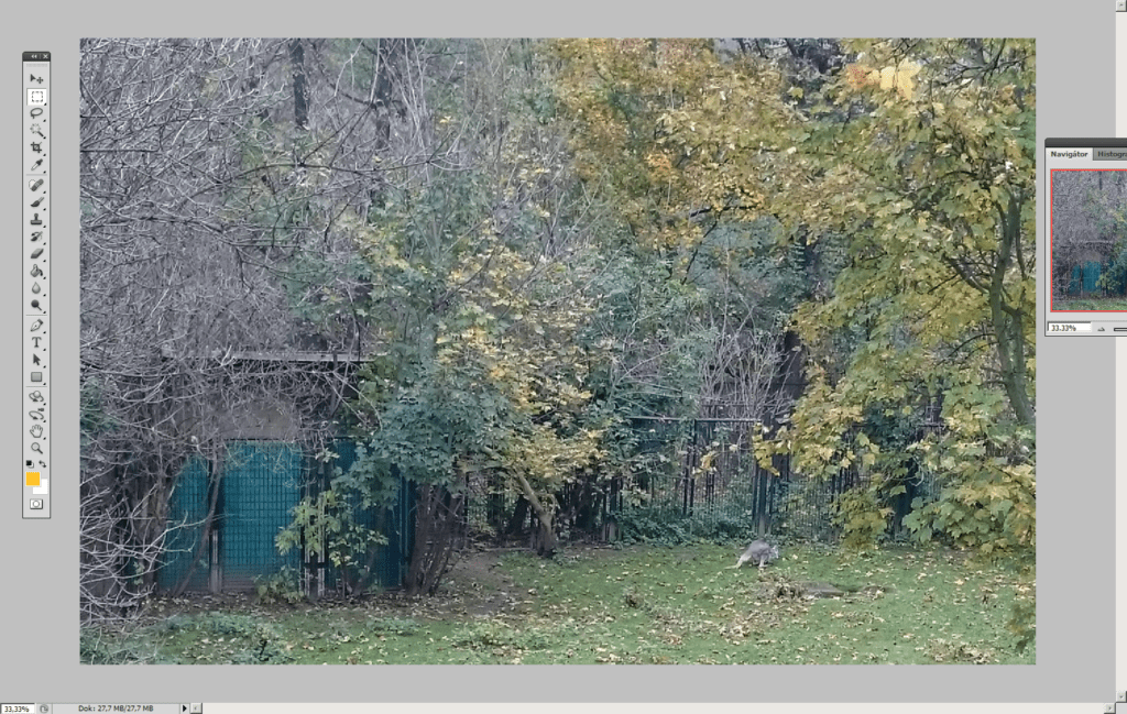 Tak funguje digitální zoom: zvětšení oblasti