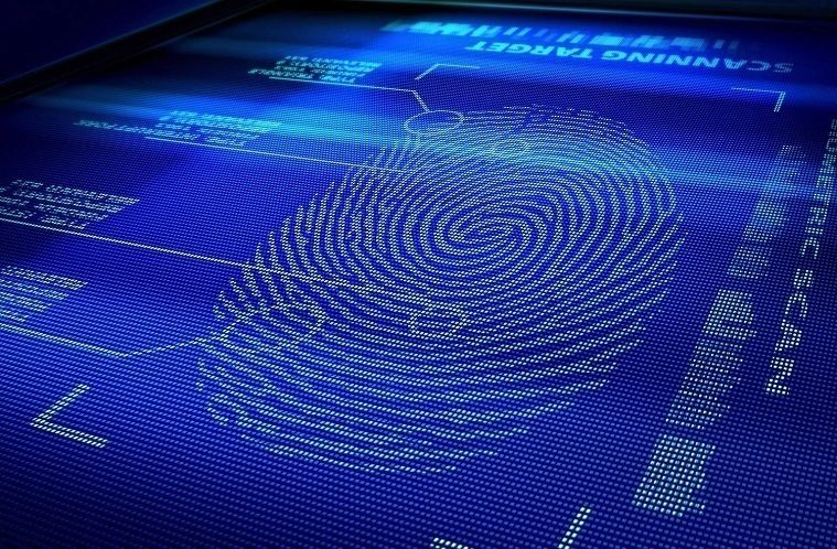 fingerprint