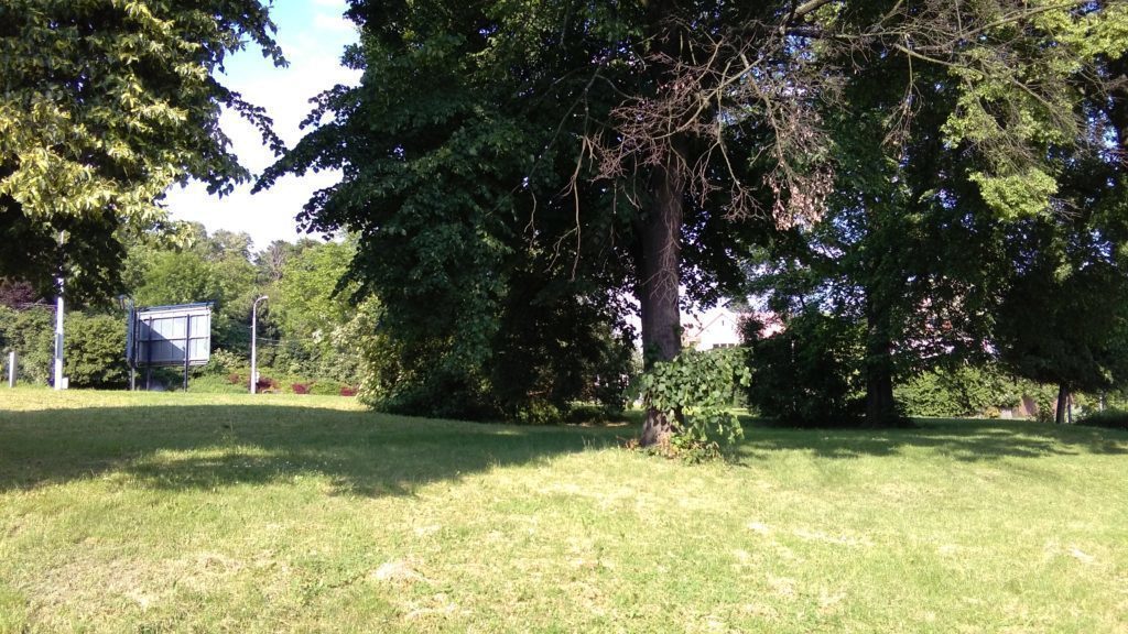 Vodafone Smart Prime 6 foto 10