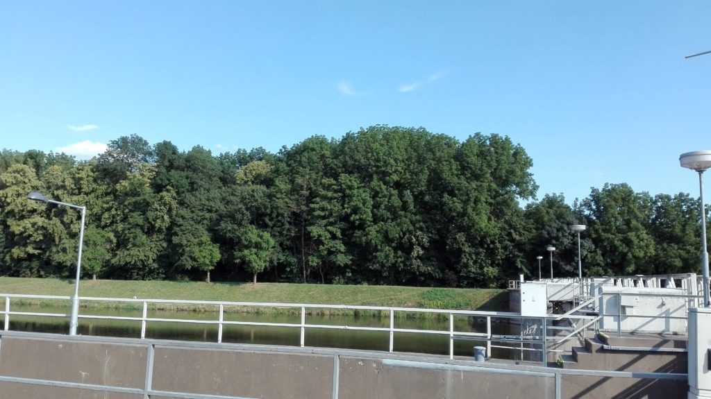 Huawei P8 Lite test foto 2