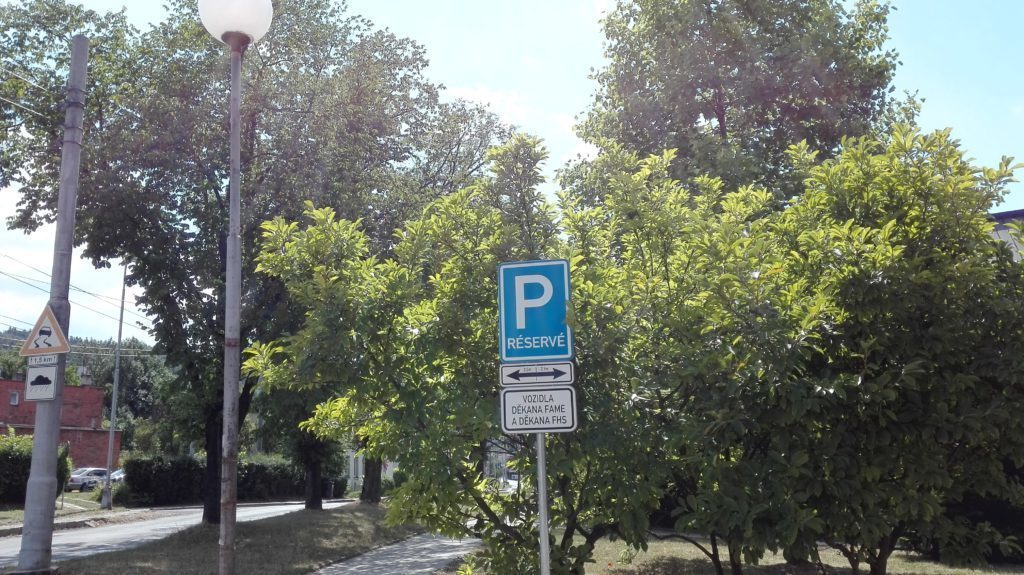 Huawei P8 Lite test foto 9