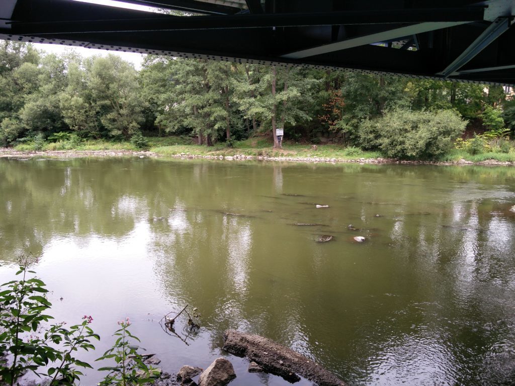 OnePlus 2 Pořízené fotografie 15