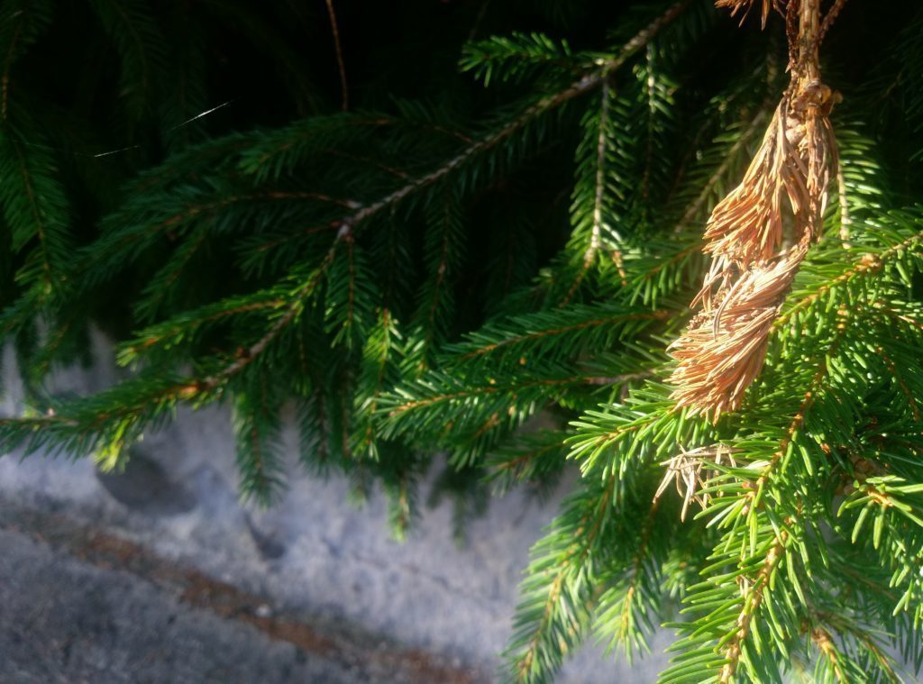 HTC One A9 pořízené fotografie 1