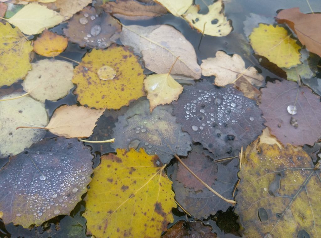 HTC One A9 pořízené fotografie 4