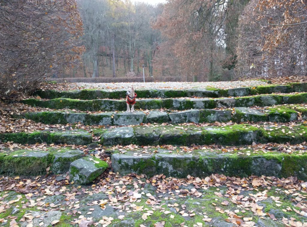 HTC One A9 pořízené fotografie 5