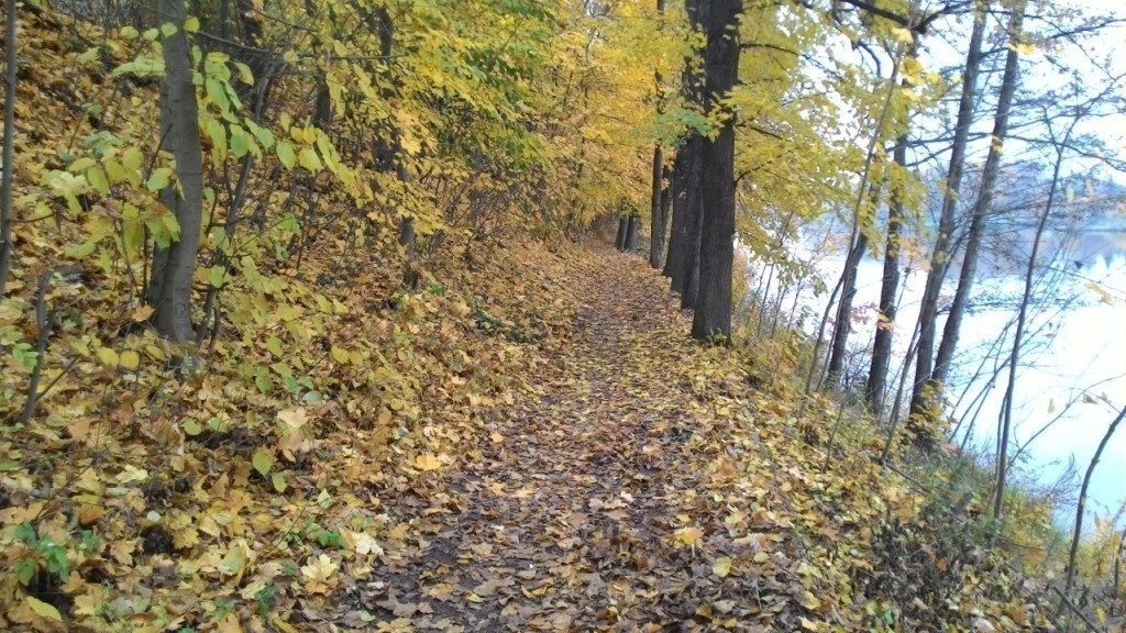 asus zenfone 5 porizene fotografie 1