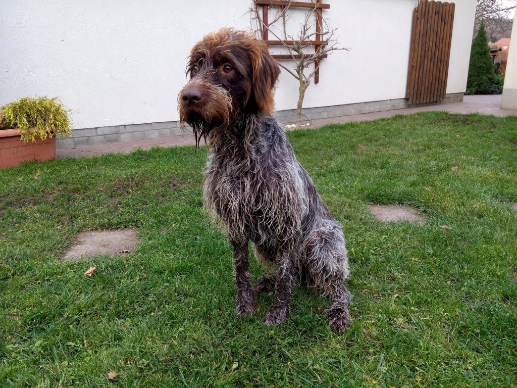 Meizu MX4 pořízené fotografie 11