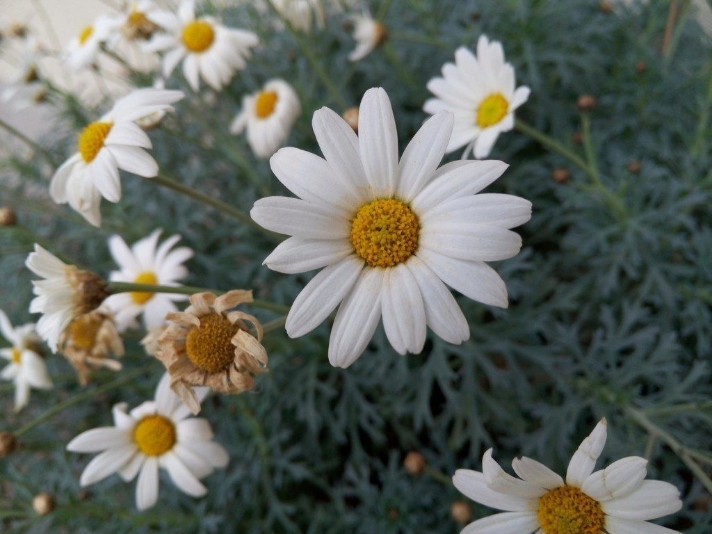 Meizu MX4 pořízené fotografie 12