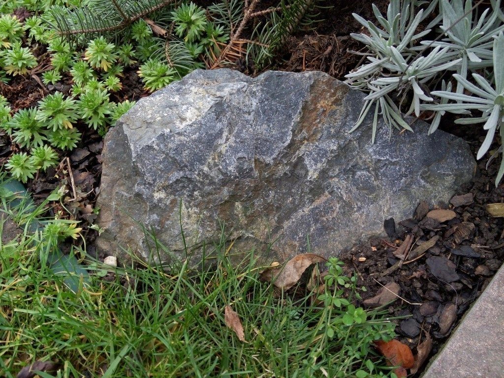 Meizu MX4 pořízené fotografie 13